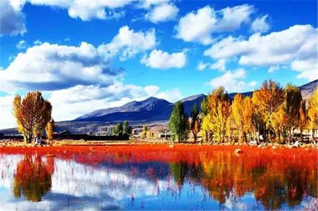 雙凱智能：說走就走旅行？有TA更輕松